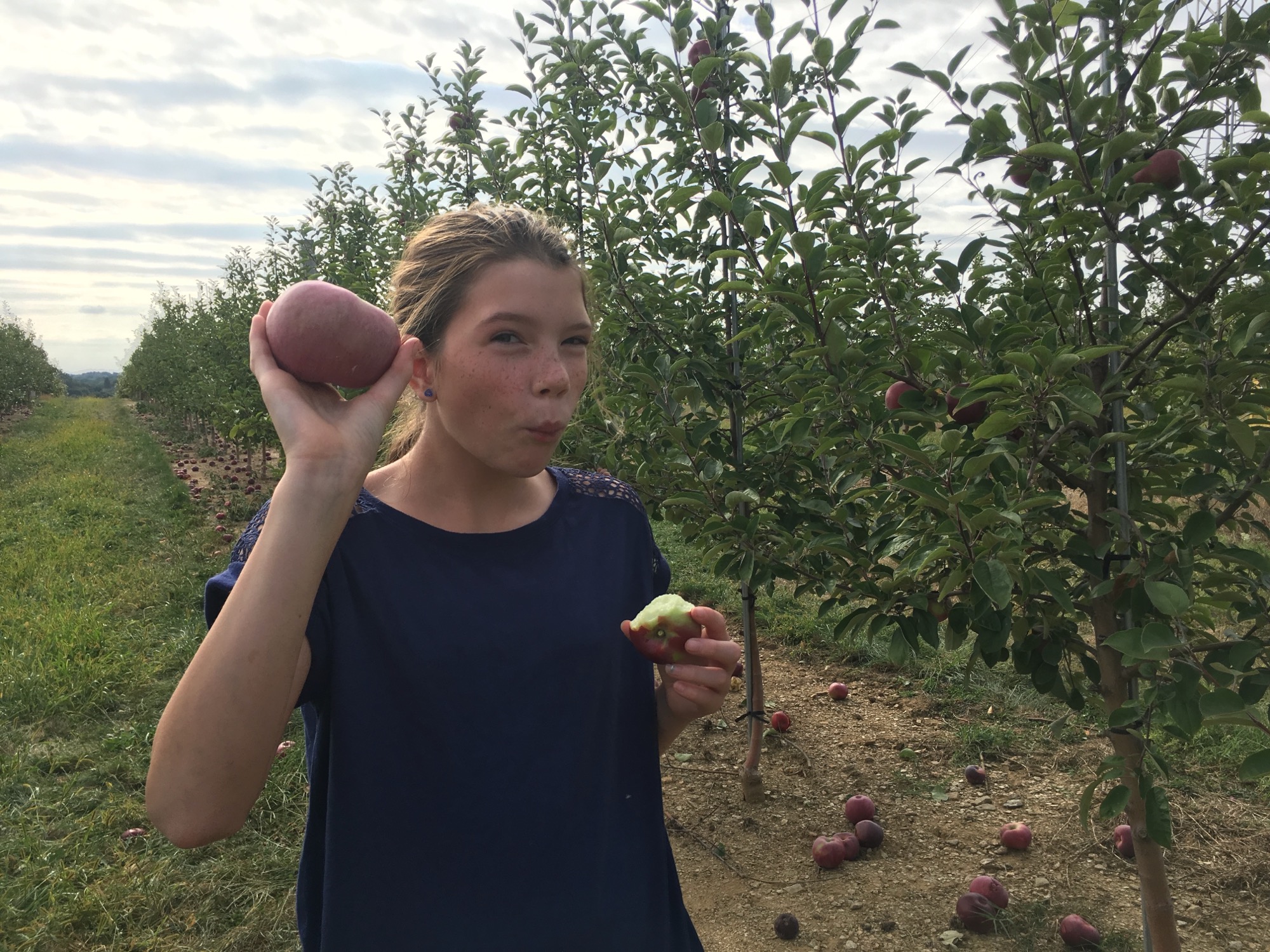 09-17-2016-apple-picking-4 photo