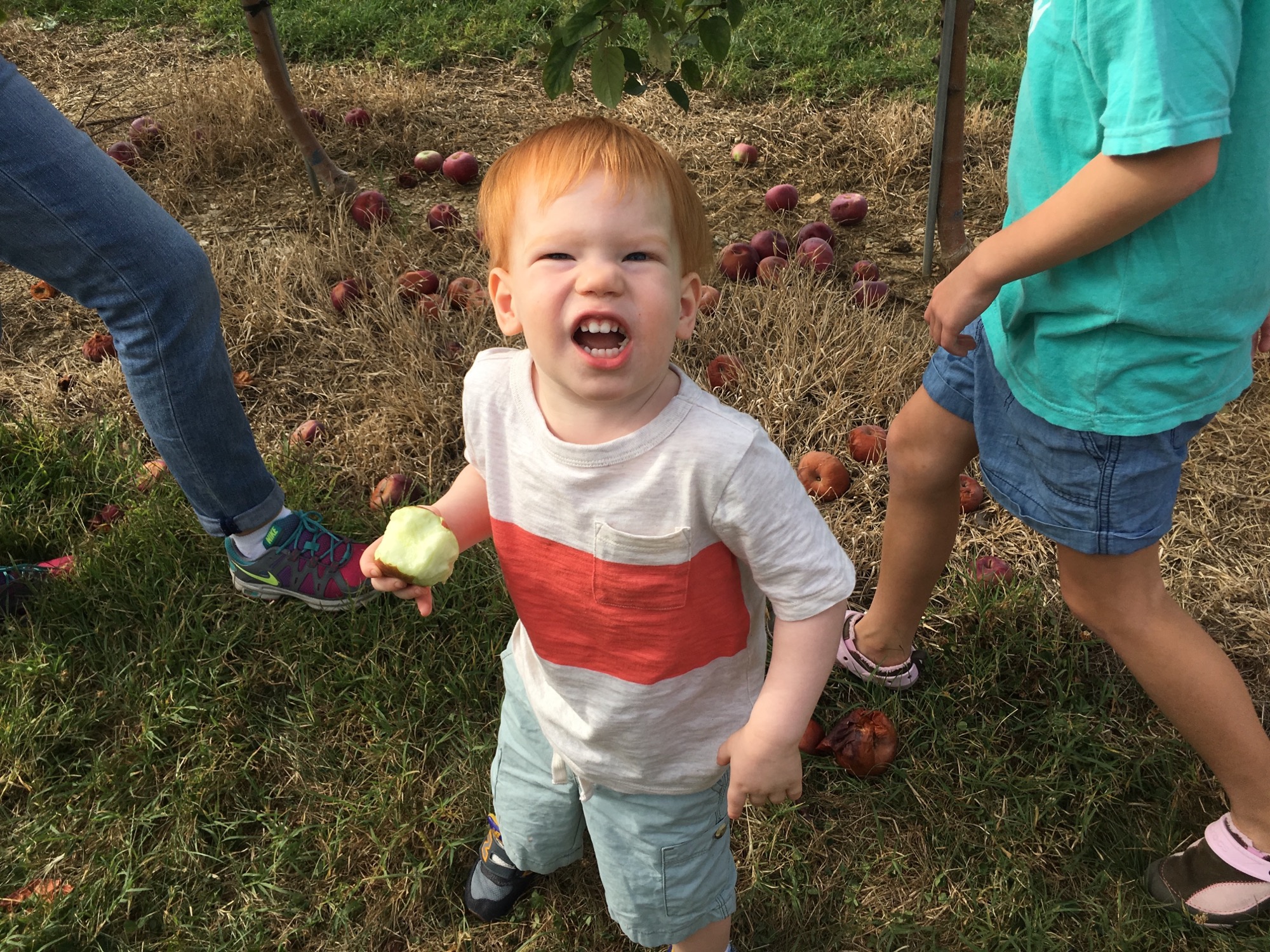 09-17-2016-apple-picking-3 photo