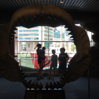 Baltimore Aquarium 2016