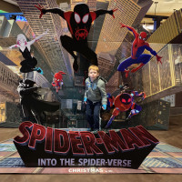 Does Whatever a Spider Can