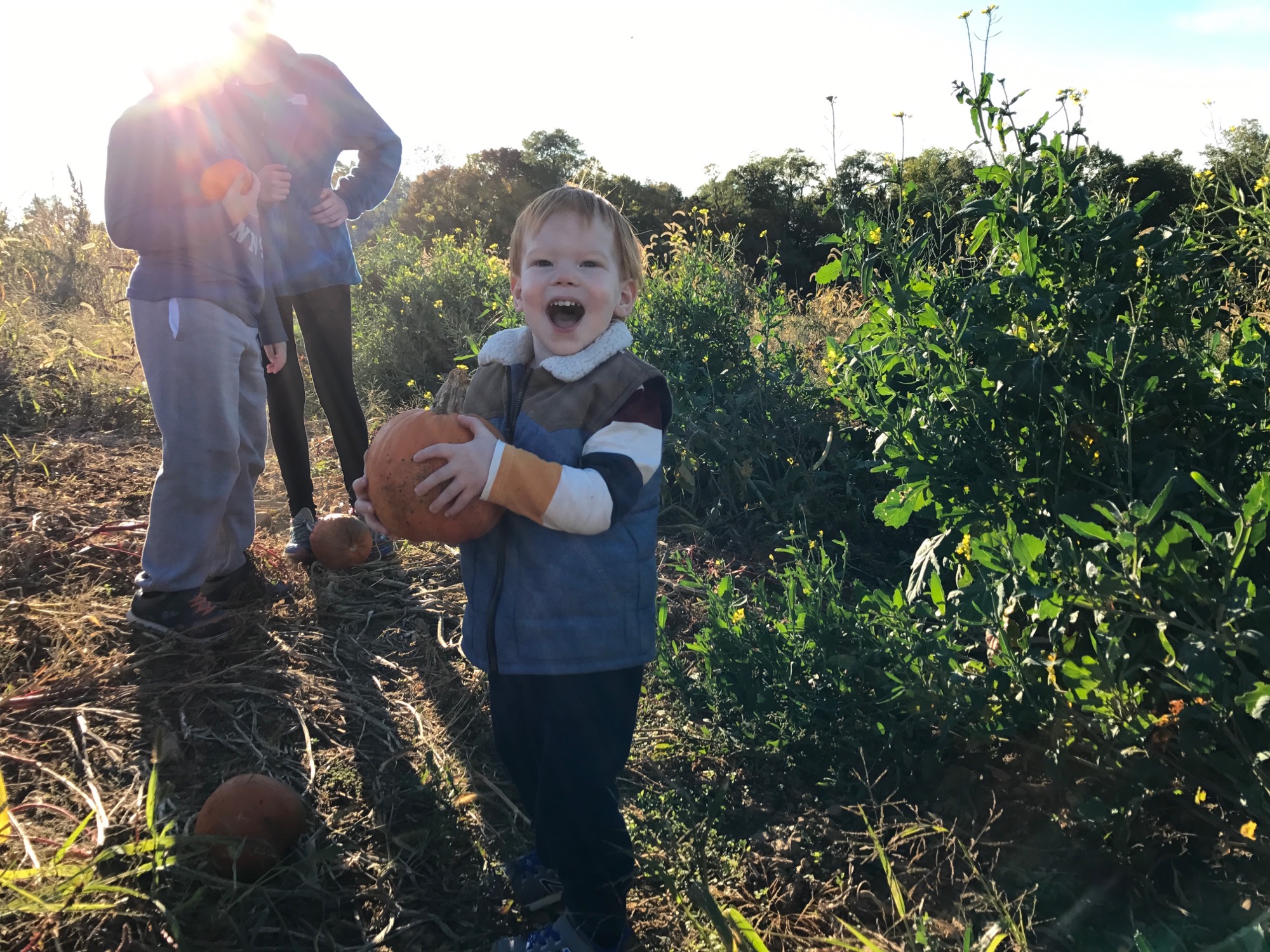 10-15-2016-pumpkin-patch-4 photo