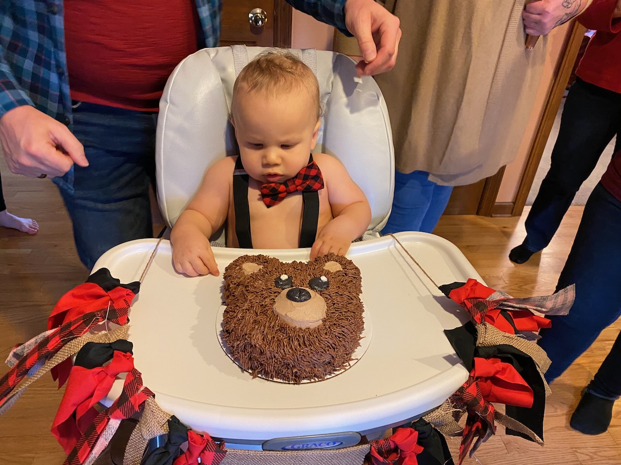 2020-02-15-theo-turns-one-02 photo