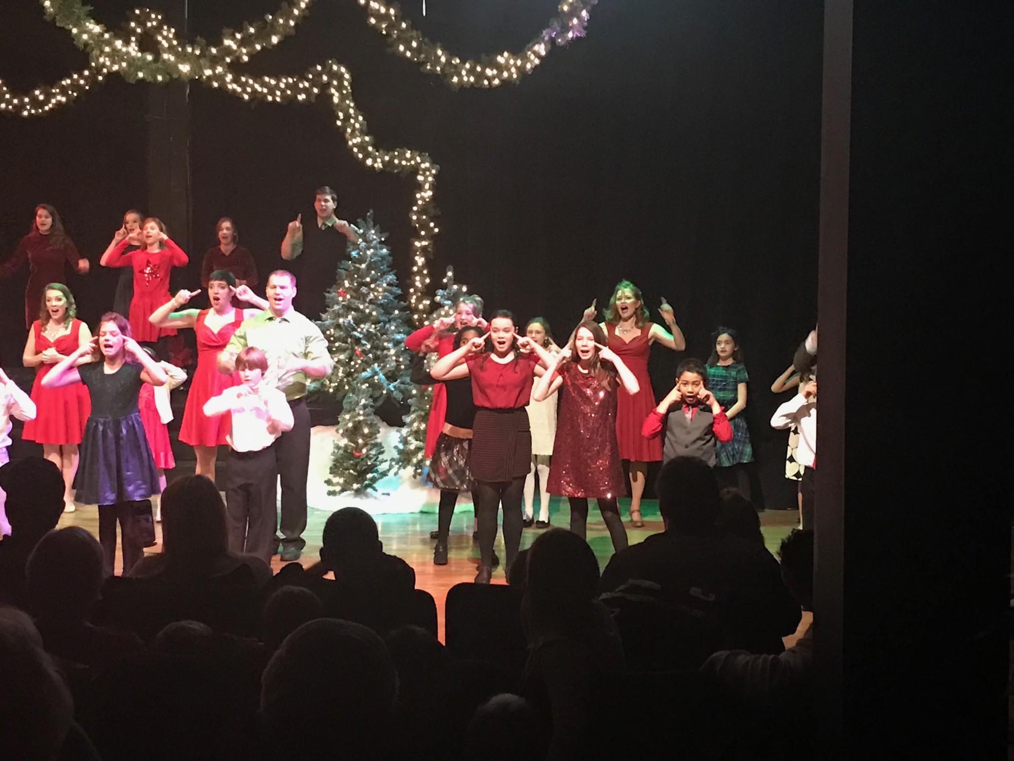 12-10-2016-maddie-xmas-salt-4 photo