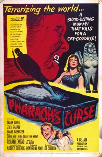 The Pharoh&rsquo;s Curse
